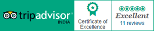Tripadvisor Reviews